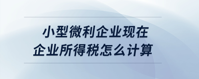 小型微利企業(yè)現(xiàn)在企業(yè)所得稅怎么計(jì)算？