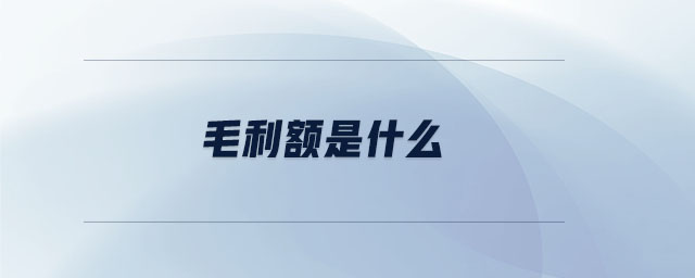 毛利額是什么 毛利額是什么