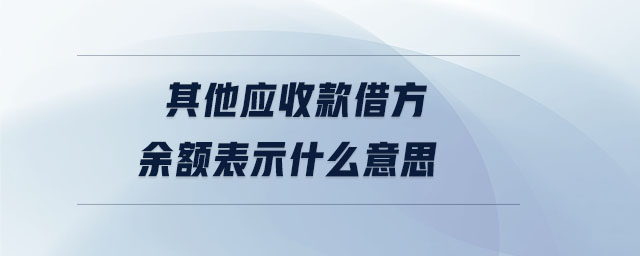 其他應收款借方余額表示什么意思