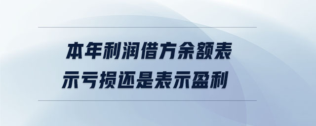 本年利潤借方余額表示虧損還是表示盈利 本年利潤借方余額表示虧損還是表示盈利