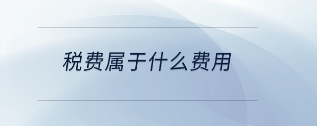 稅費(fèi)屬于什么費(fèi)用？