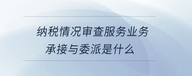納稅情況審查服務(wù)業(yè)務(wù)承接與委派是什么 納稅情況審查服務(wù)業(yè)務(wù)承接與委派是什么