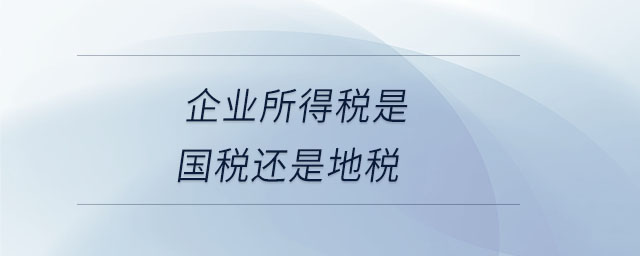 企業(yè)所得稅是國稅還是地稅