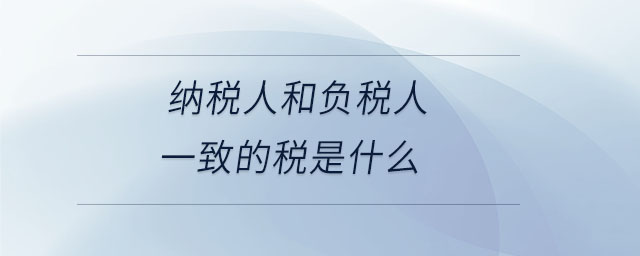 納稅人和負稅人一致的稅是什么 納稅人和負稅人一致的稅是什么