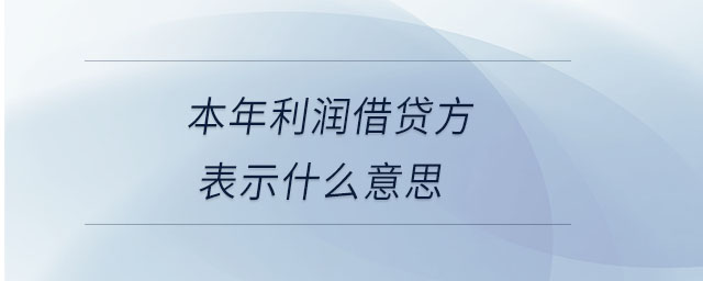 本年利潤(rùn)借貸方表示什么意思