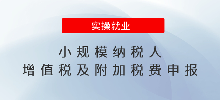小規(guī)模納稅人必看！增值稅及附加稅費申報操作