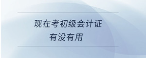 現(xiàn)在考初級(jí)會(huì)計(jì)證有沒有用