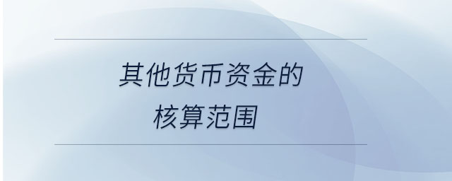 其他貨幣資金的核算范圍 其他貨幣資金的核算范圍