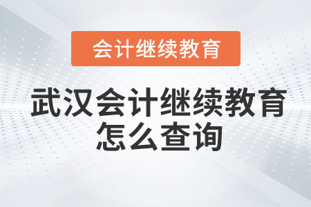 2023年武漢會(huì)計(jì)繼續(xù)教育怎么查詢？