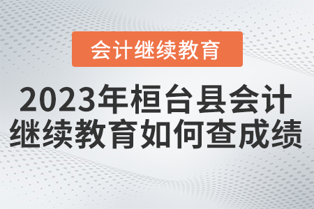 桓臺縣2023年會計繼續(xù)教育如何查成績？