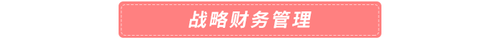 戰(zhàn)略財務(wù)管理