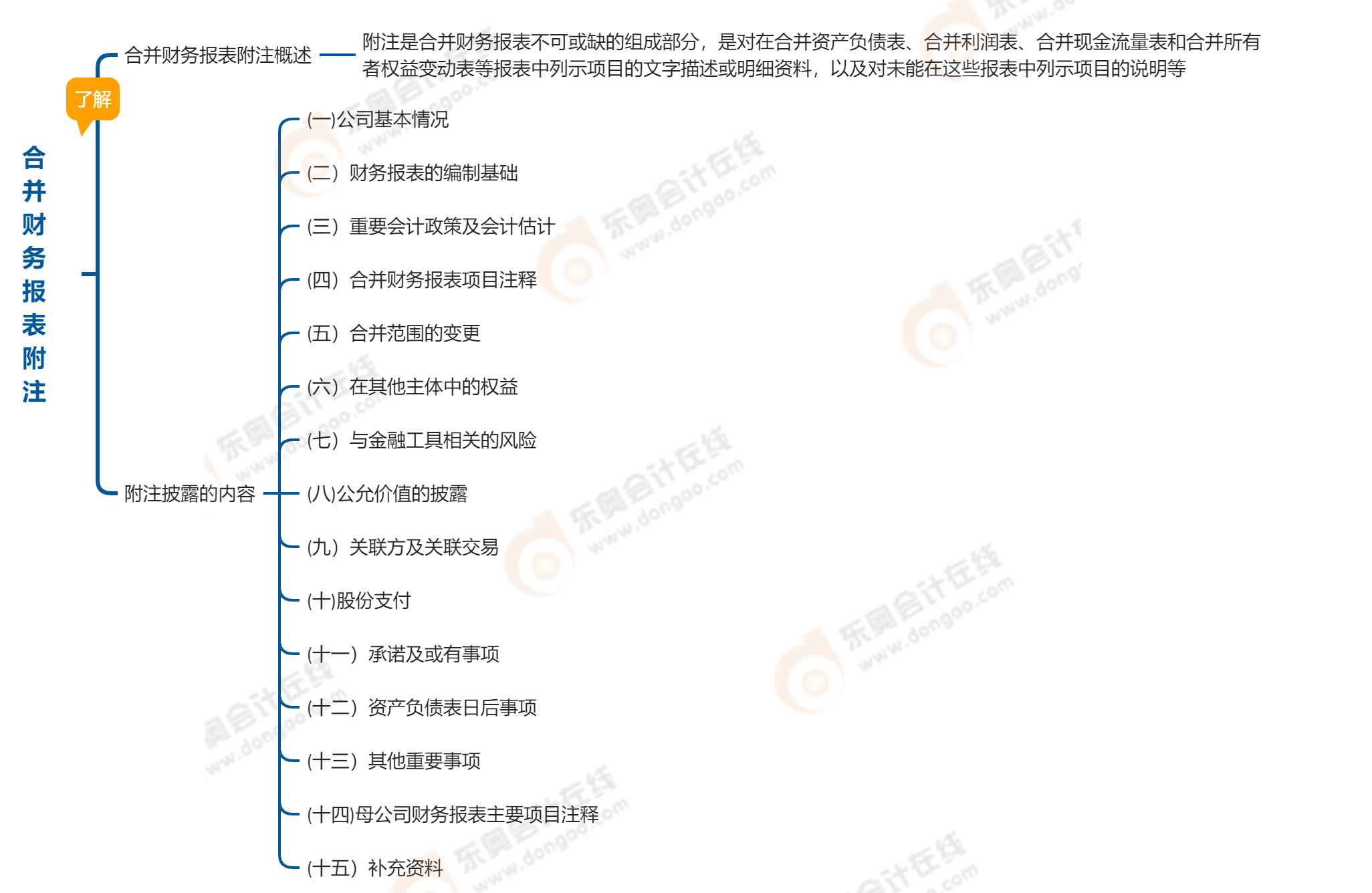 中級會計實務第二十一章合并財務報表附注