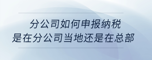 分公司如何申報(bào)納稅？是在分公司當(dāng)?shù)剡€是在總部？