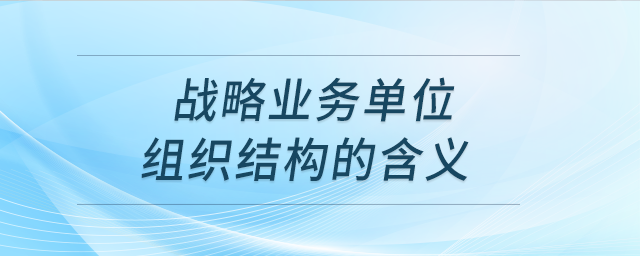 戰(zhàn)略業(yè)務單位組織結構的含義 戰(zhàn)略業(yè)務單位組織結構的含義
