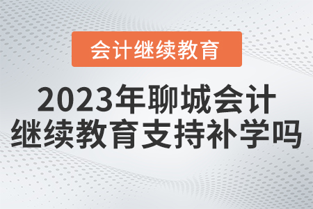 2023年聊城市會計(jì)人員繼續(xù)教育平臺支持補(bǔ)學(xué)嗎？