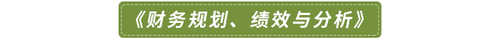 《財務(wù)規(guī)劃、績效與分析》