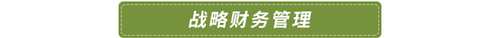 戰(zhàn)略財務(wù)管理
