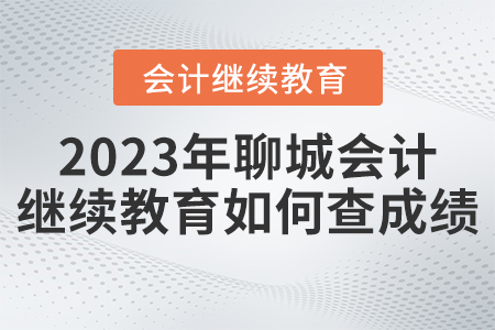 2023年聊城市會(huì)計(jì)人員繼續(xù)教育平臺(tái)如何查成績？