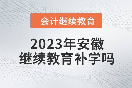 2023年安徽會(huì)計(jì)繼續(xù)教育可以補(bǔ)學(xué)嗎？