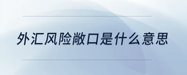 外匯風(fēng)險敞口是什么意思 外匯風(fēng)險敞口是什么意思