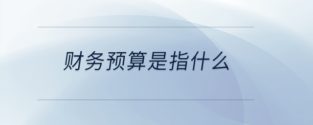 財務(wù)預(yù)算是指什么？