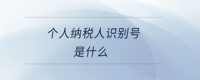 個人納稅人識別號是什么 個人納稅人識別號是什么