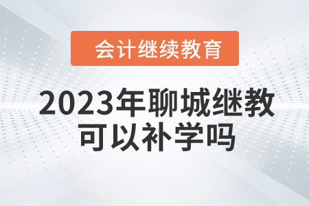 2023年聊城會計繼續(xù)教育網(wǎng)可以補學嗎？