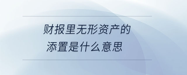 財報里無形資產(chǎn)的添置是什么意思