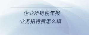 企業(yè)所得稅年報業(yè)務(wù)招待費怎么填