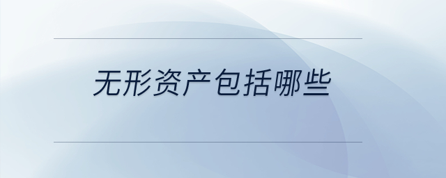 無形資產(chǎn)包括哪些？