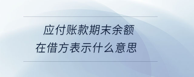 應(yīng)付賬款期末余額在借方表示什么意思 應(yīng)付賬款期末余額在借方表示什么意思