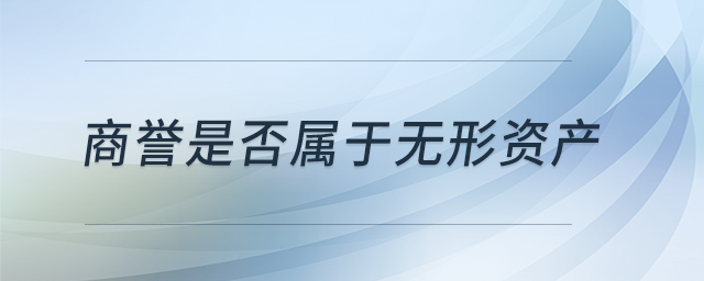 商譽(yù)是否屬于無(wú)形資產(chǎn)？