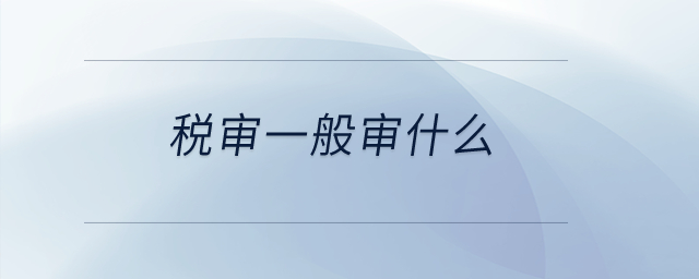 稅審一般審什么？