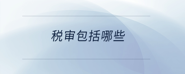 稅審包括哪些？