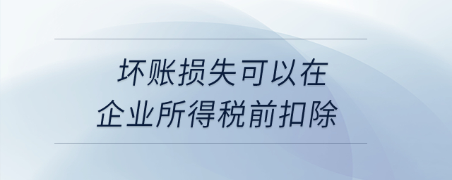 壞賬損失可以在企業(yè)所得稅前扣除？
