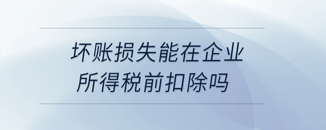 壞賬損失能在企業(yè)所得稅前扣除嗎？