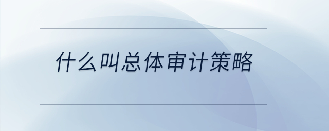 什么叫總體審計(jì)策略？