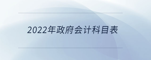 2022年政府會(huì)計(jì)科目表 2022年政府會(huì)計(jì)科目表