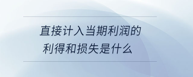 直接計入當(dāng)期利潤的利得和損失是什么