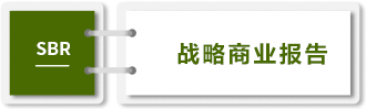 戰(zhàn)略商業(yè)報告-SBR