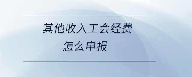 其他收入工會經(jīng)費怎么申報