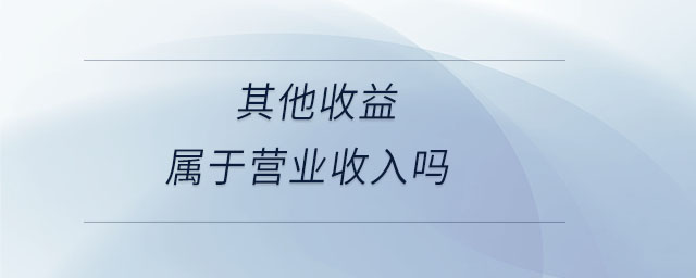 其他收益屬于營(yíng)業(yè)收入嗎