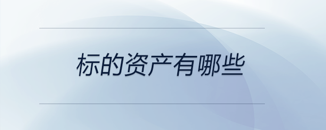 標(biāo)的資產(chǎn)有哪些