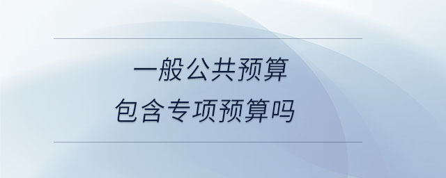 一般公共預(yù)算包含專項預(yù)算嗎