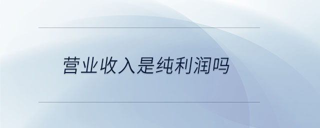 營業(yè)收入是純利潤嗎