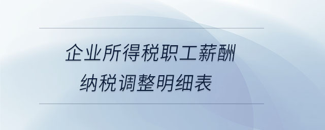 企業(yè)所得稅職工薪酬納稅調(diào)整明細表 企業(yè)所得稅職工薪酬納稅調(diào)整明細表