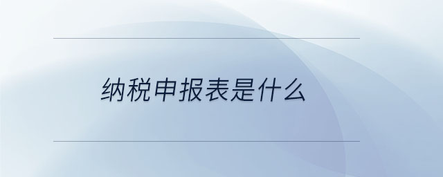納稅申報表是什么