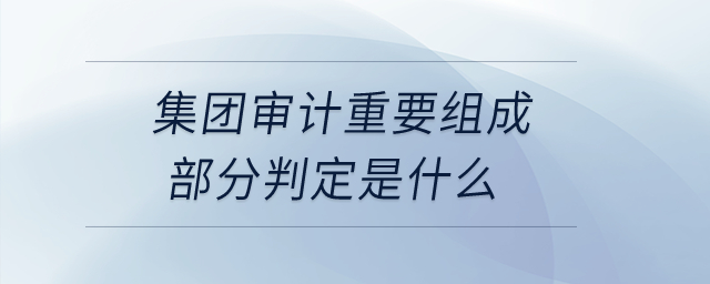 集團審計重要組成部分判定是什么? 集團審計重要組成部分判定是什么?