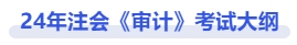 注會審計考試大綱