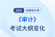 注冊會計師審計大綱變化2024年都有哪些？